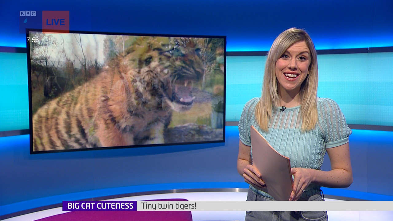 Newsround_20220117_07450800.ts_snapshot_12.04.074