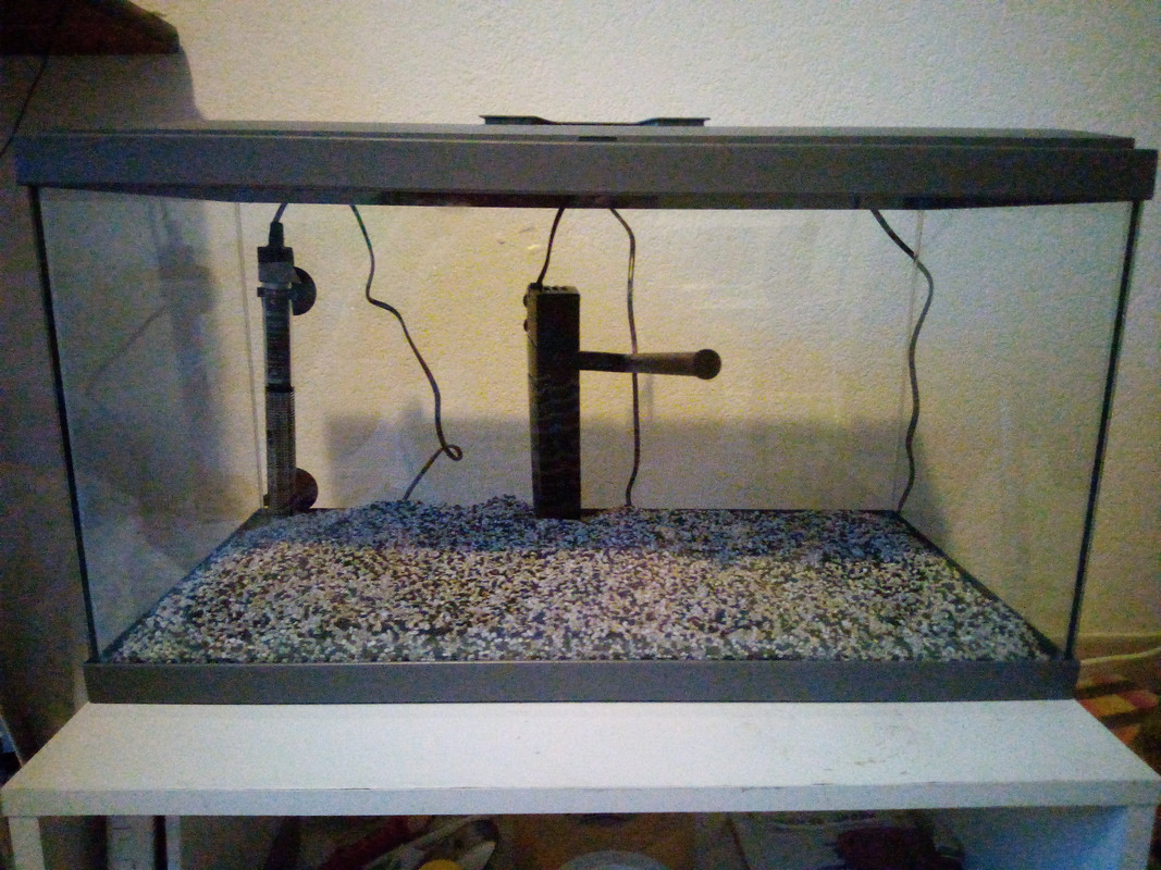 IMG_20211225_171147[1]