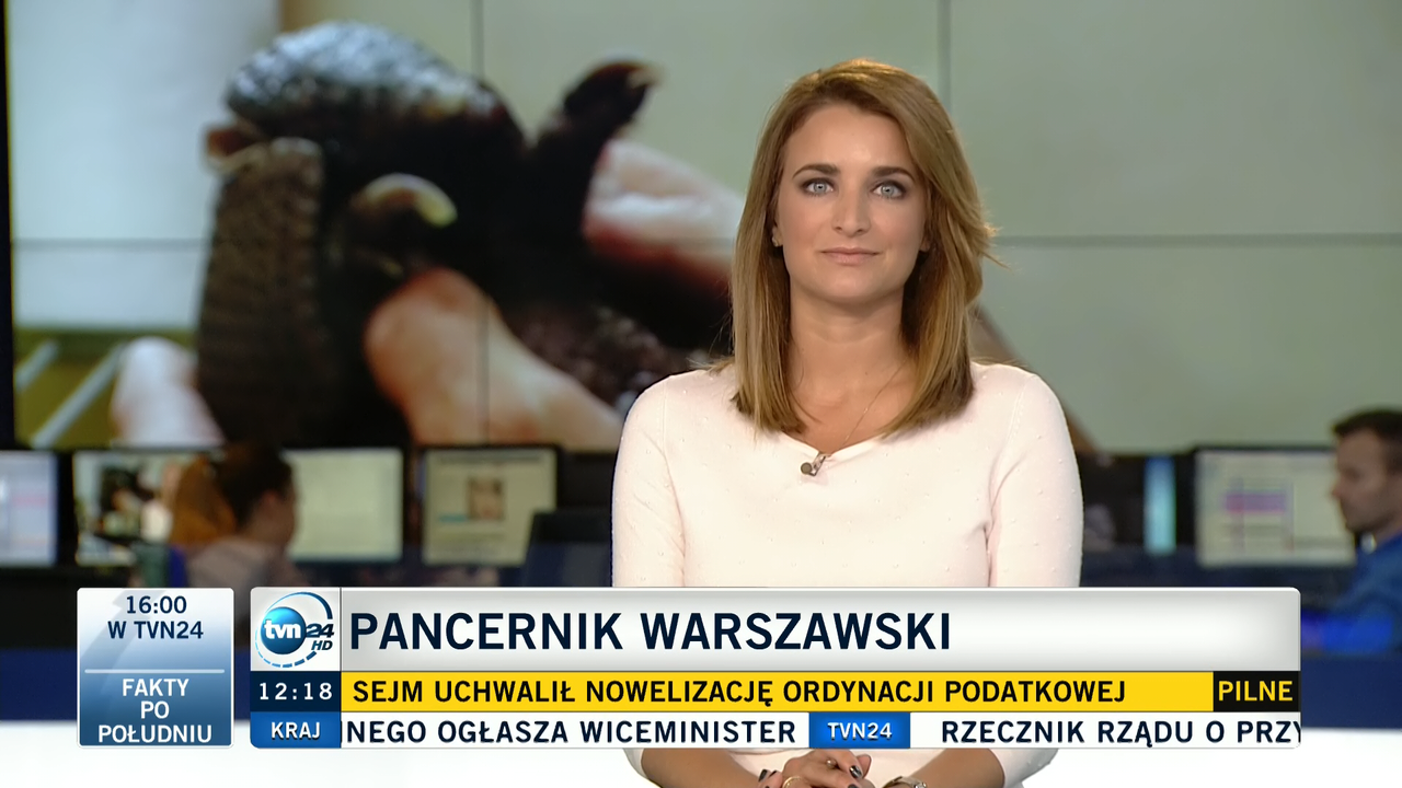 2015-07-10_Dagmara_Kaczmarek_Szalkow_TVN24HD_004