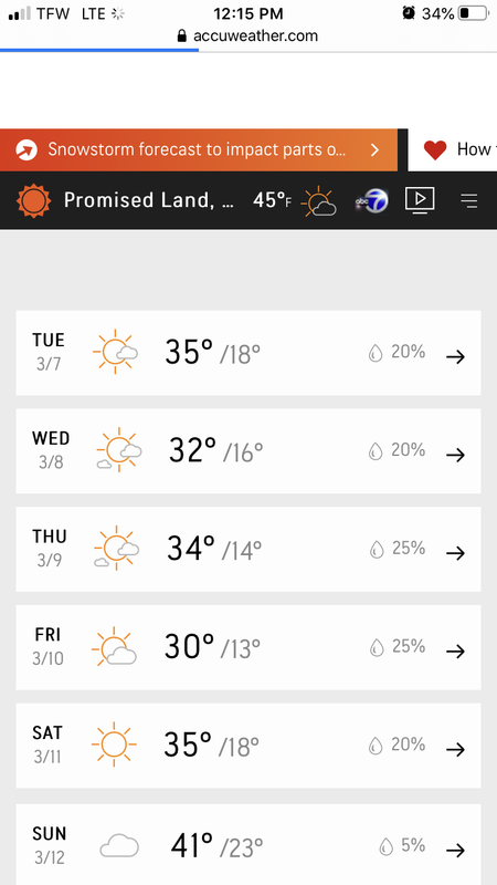 931EEB34-CB9F-4BC2-9DD9-EF8B1FBD7C4C