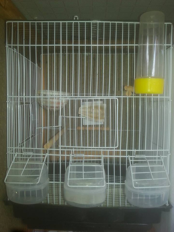 صورة