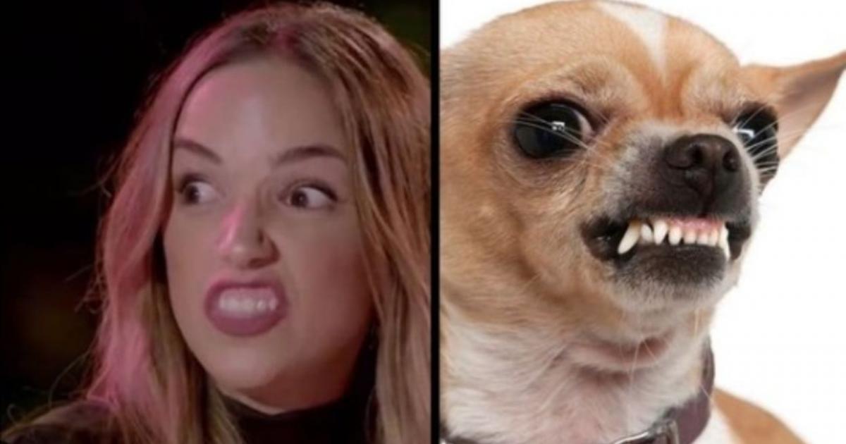 los-divertidos-memes-y-parecidos-razonables-de-la-isla-de-las-tentaciones-no-se-han-hecho-esperar_25