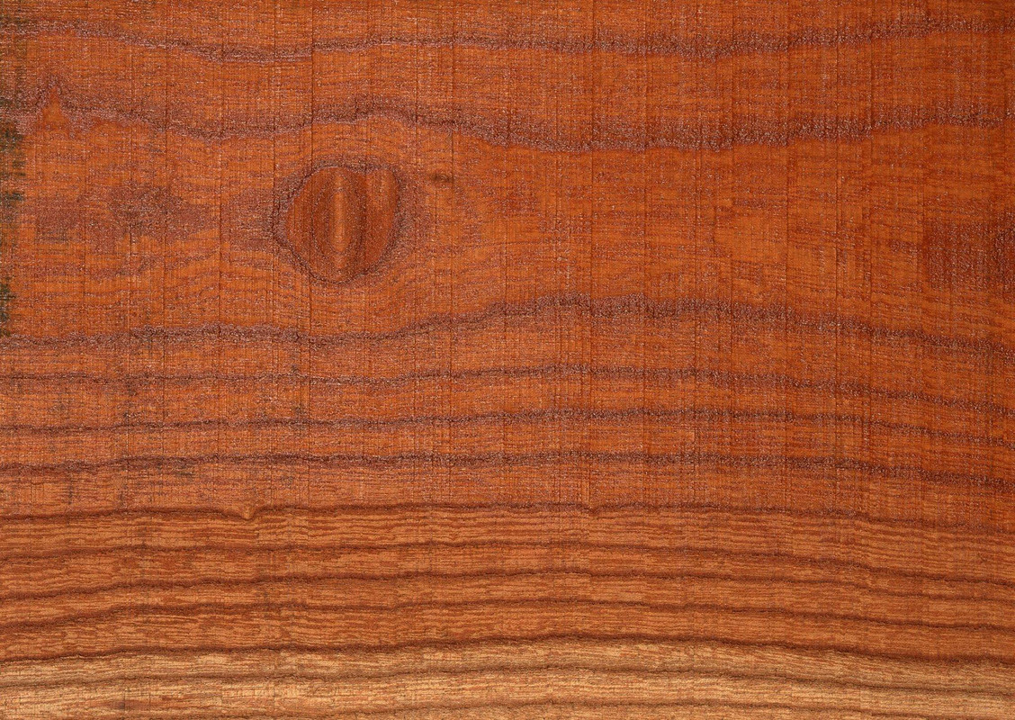 wood-texture-3dsmax-553