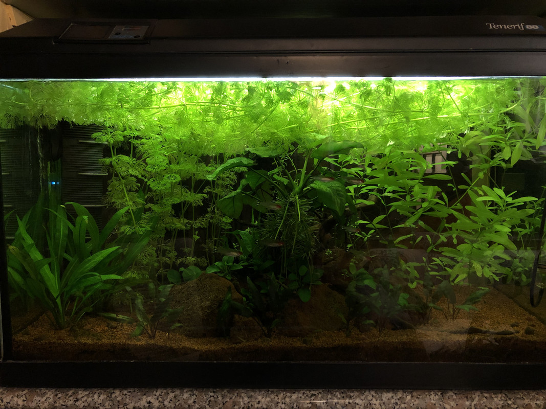 5EBEAF0D-56FE-42E7-AF66-1263425E9543