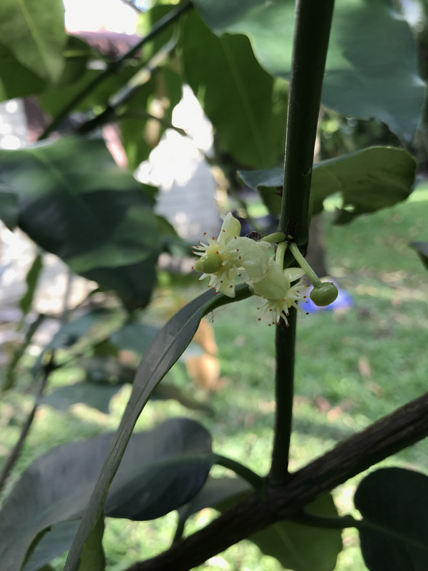 5433CB9E-AB79-4A50-BB91-FFFE3ADA8CB3