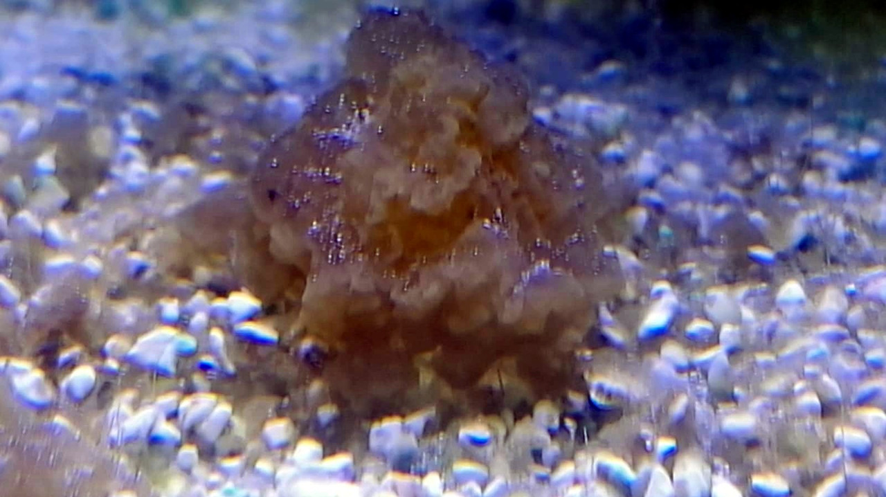 WhatsApp Image 2019-09-10 at 15.40.14 (1)