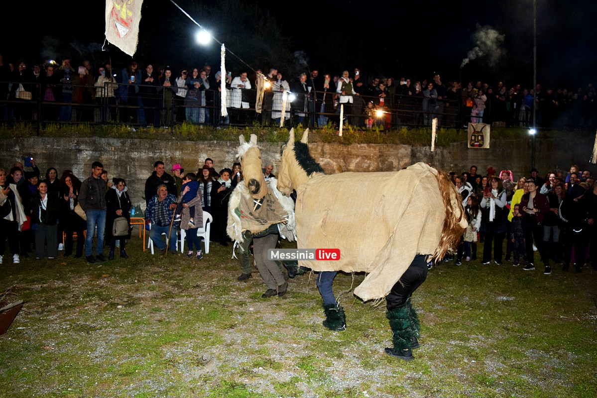 ελαιοχωριDSC_0660