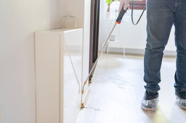Orlando Termite Treatment