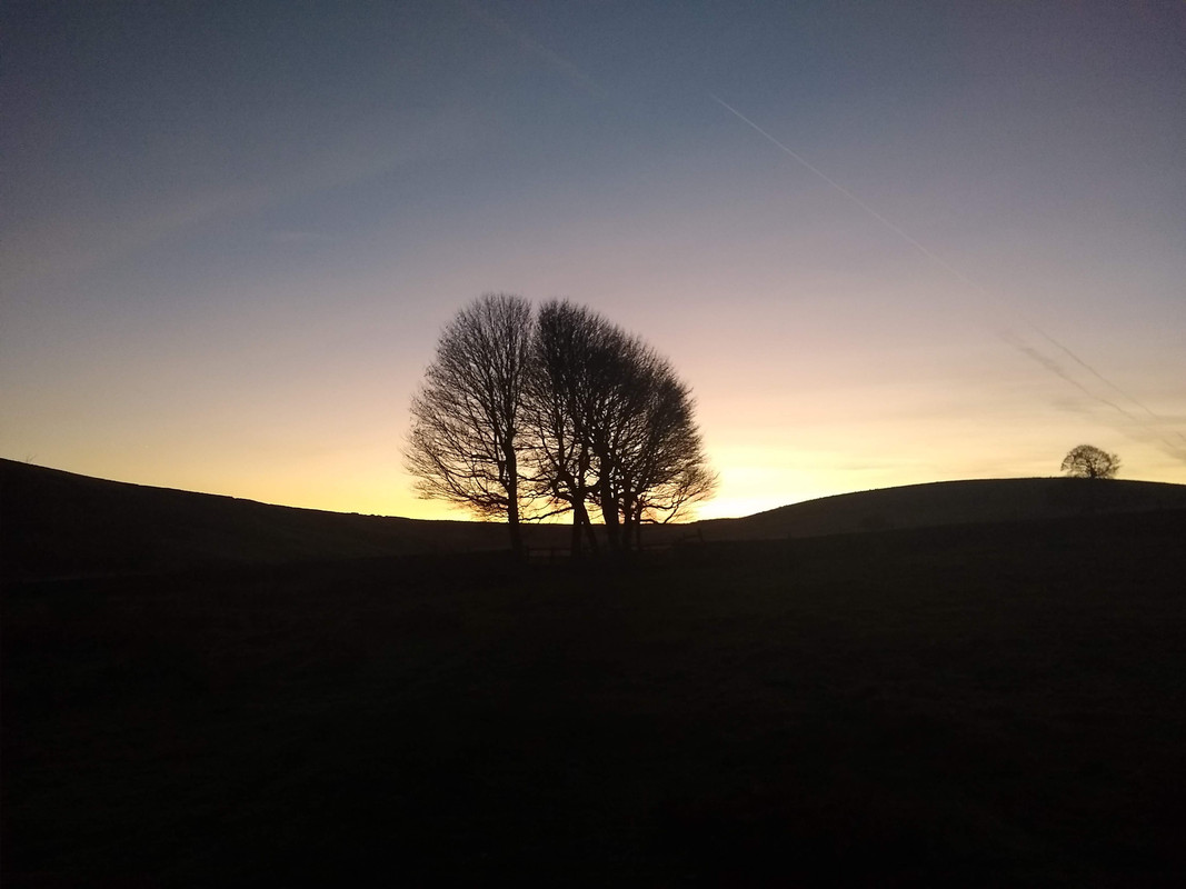 Blacka moor top field dark 