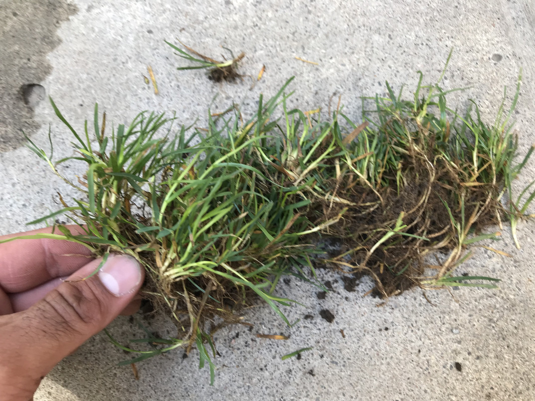 FA5F319A-D315-4B9D-96A3-7105BF5F0856