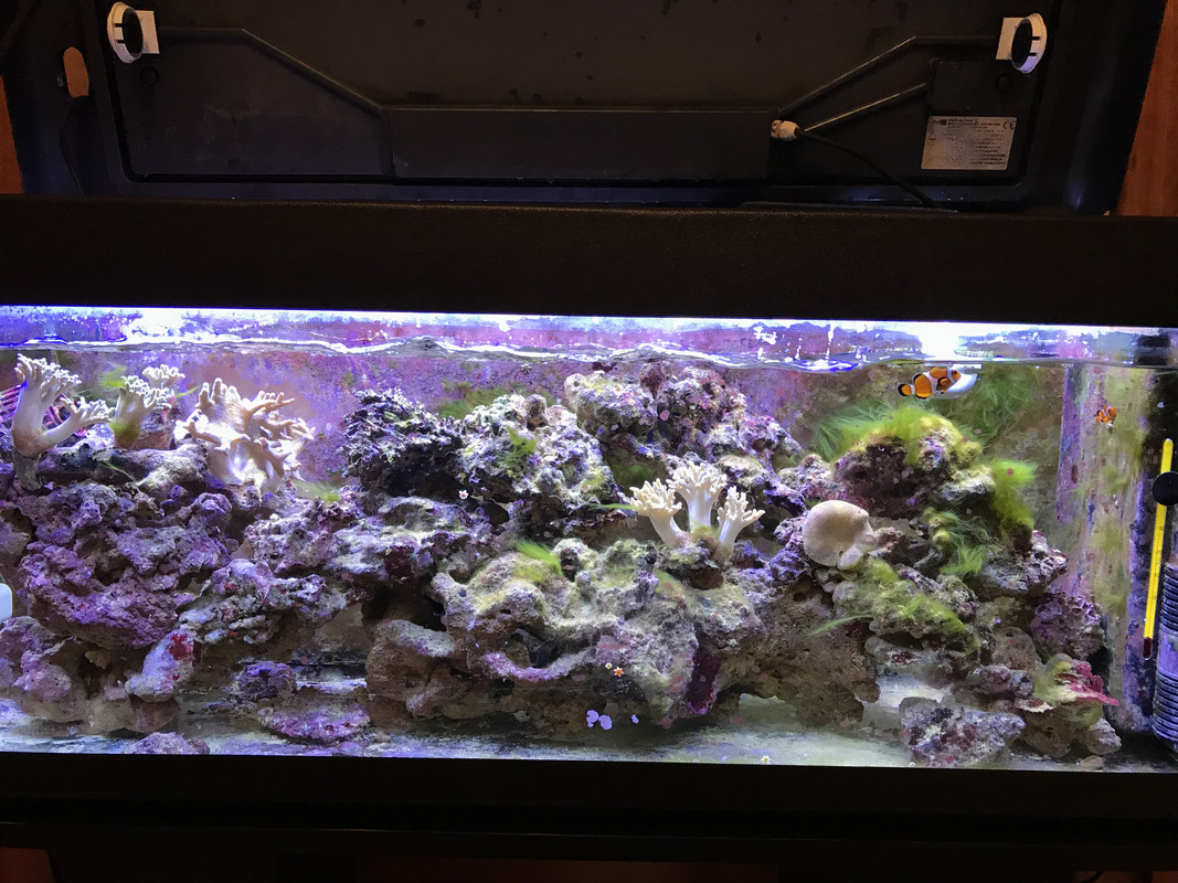 5DA6F81B-1058-4D33-B2A4-8A85E1B5D639