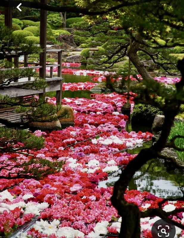 Screenshot_20230816_235750_Pinterest