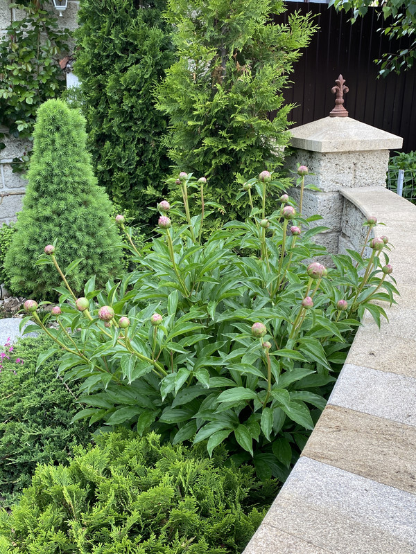 9B371547-6FAD-4E59-8F72-F9B3876EB6EC