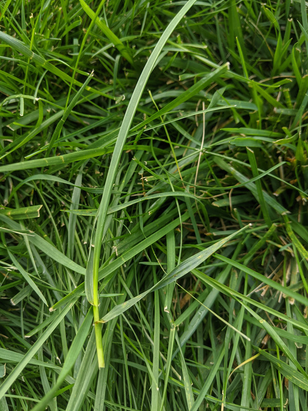 PXL_20210918_132032701