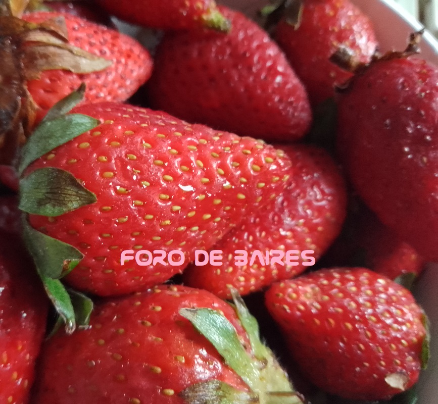 fotofrutillas5