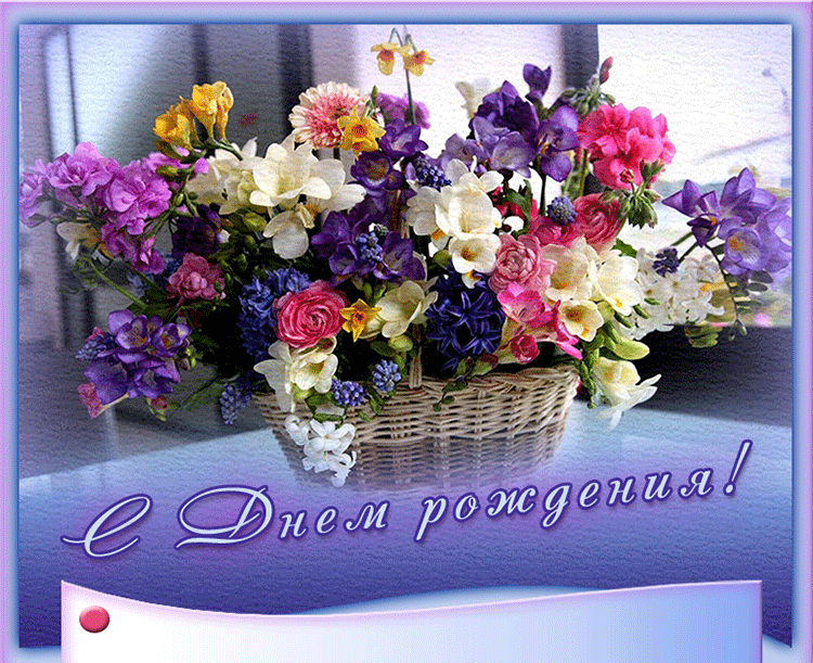 https://i.postimg.cc/mZ8bw9dG/d39c2fbfbb080ecb562af0a4c7c8ac53.gif