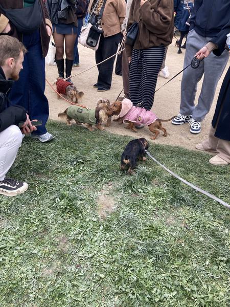 [Image: IMG-5749.jpg]