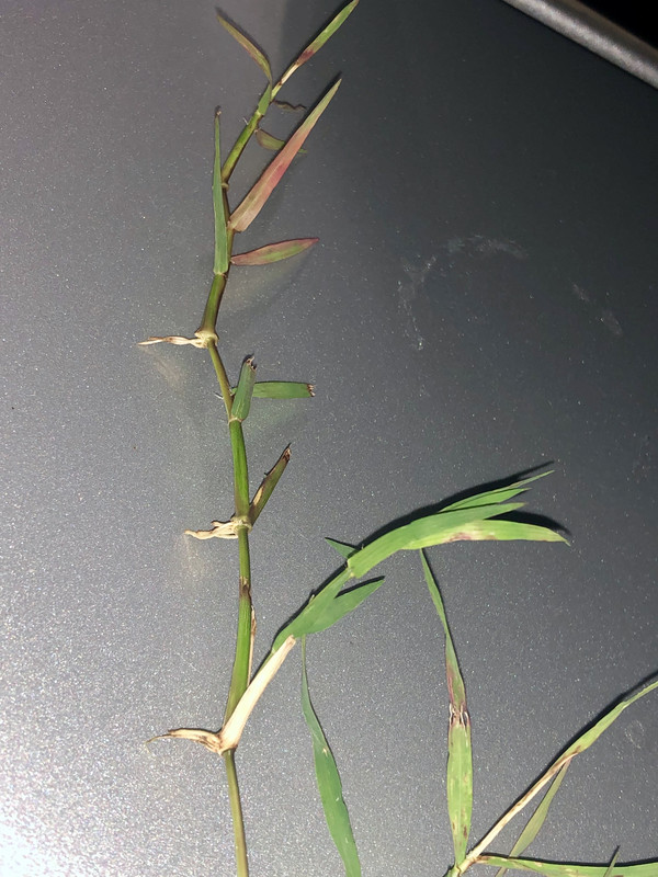 BE2E57A1-C12B-4AE2-A34C-5C8AB03361AA