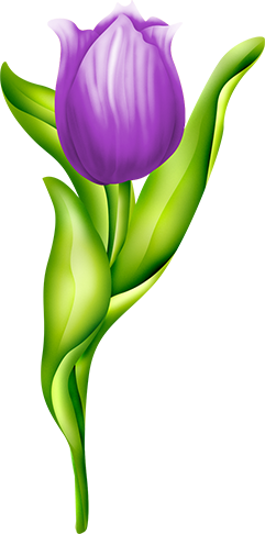 KBK_PrettyRabbit (33)