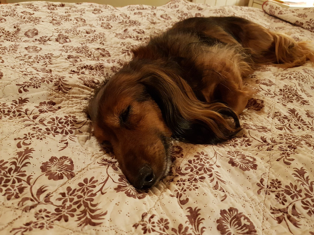 [Image: IMG-20220101-WA0011.jpg]