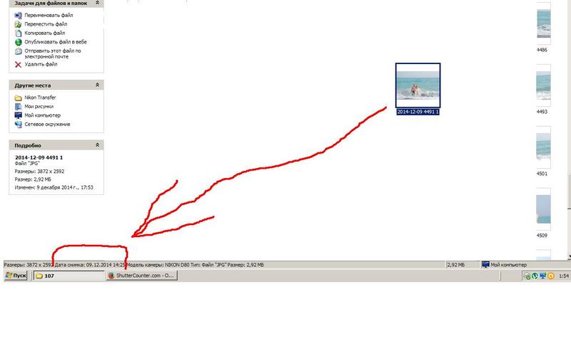 Безымянный