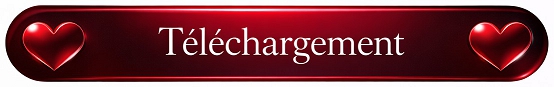 banner4.jpg