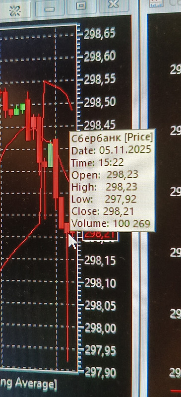 5 noabra 2025 Prodaza v rynok