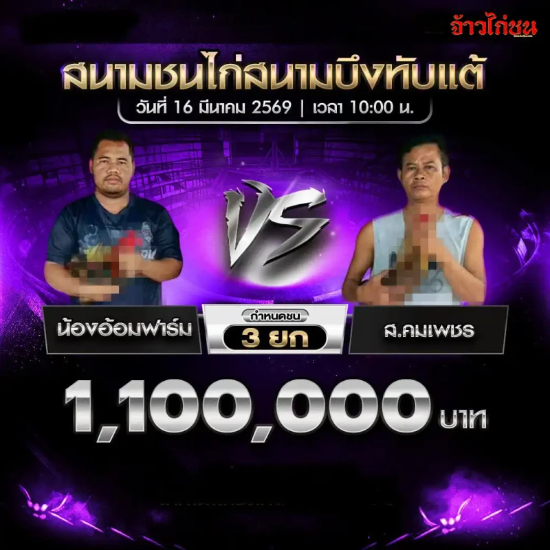 โปรแกรมไก่ชน คู่ที่ 2 น้องอ้อมฟาร์ม พบ ส.คมเพชร สนามชนไก่บึงทับแต้