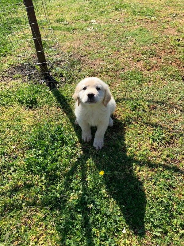 6C6A8349-1FE4-4AAF-AA56-D33477215283