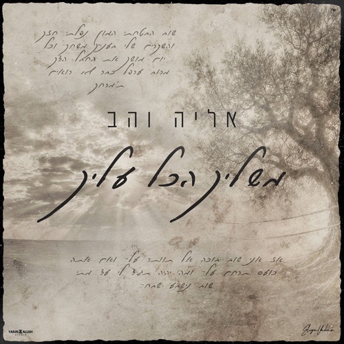 תמונה