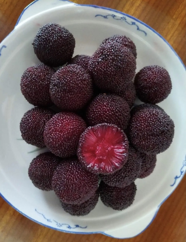 BAF5897A-63C1-4305-A1A1-C088462F78A9