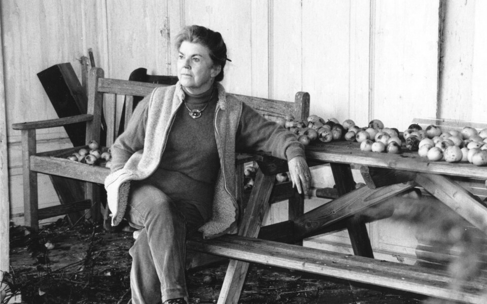 joan-aiken-apples