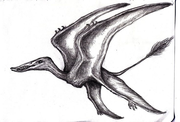 7306f413030edf4475d2615649ad3985 (1)