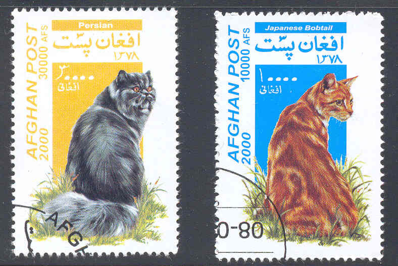 91
