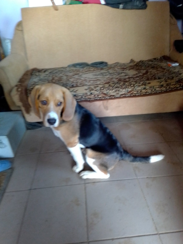 E40F0217-B2DB-42E0-A28C-1900C6086151