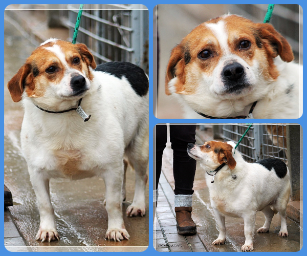 BeFunky-collage (21)