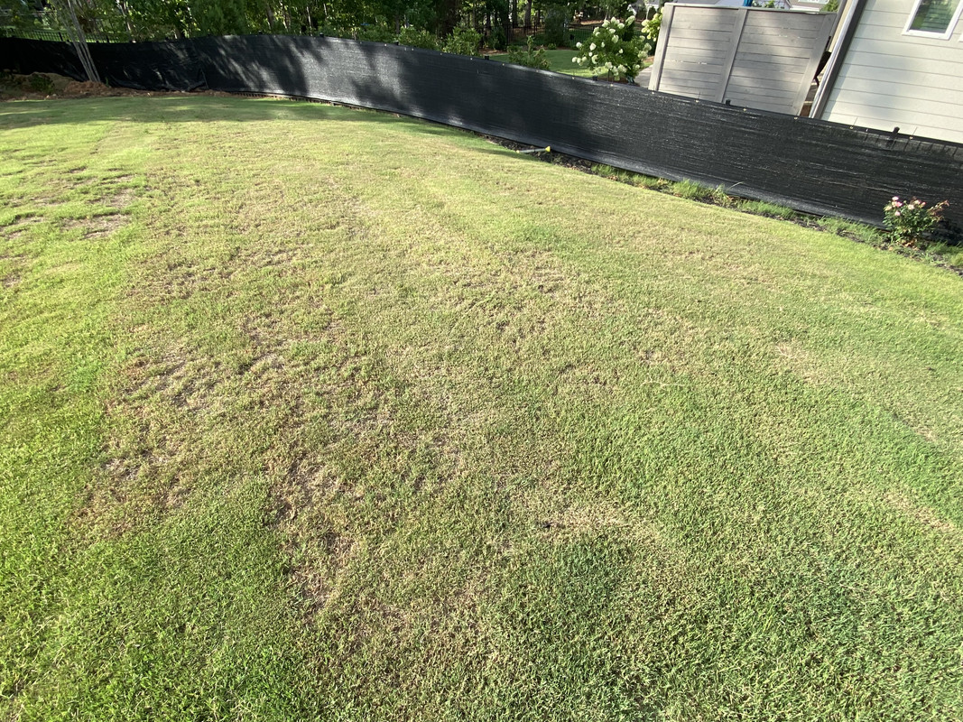 6860DA2D-E154-4AE3-9062-6E98D3F51D6B