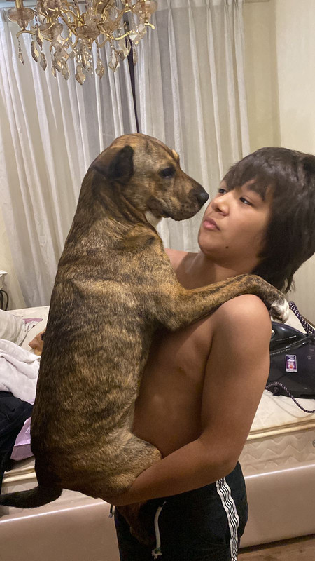 8FF794D6-5181-4BEC-8233-42AC1DDE722C