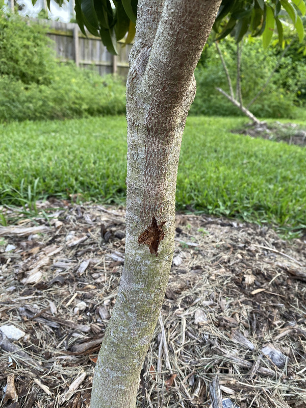 A6EFC931-7A7E-4E74-AE31-A908264C35F4