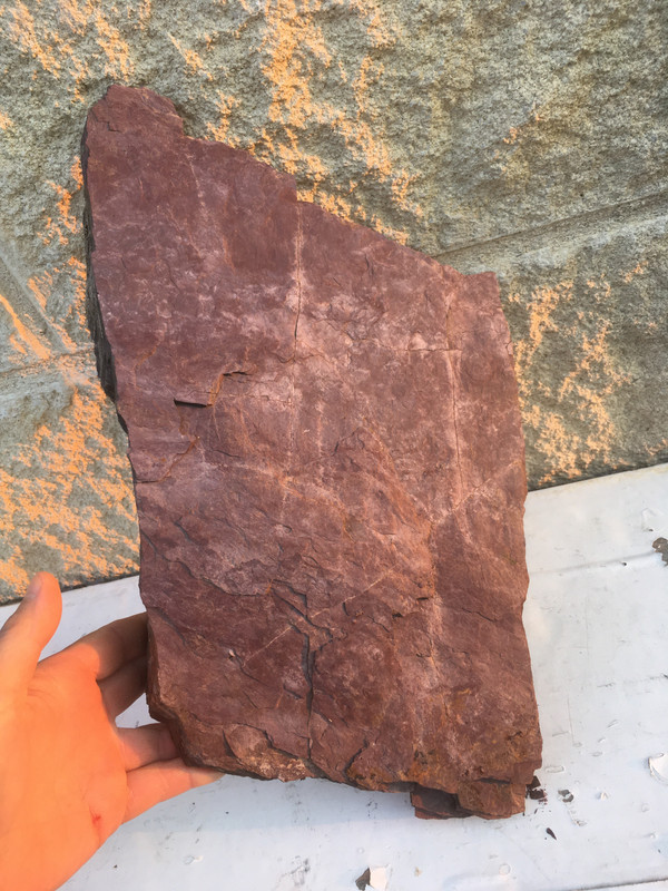 518CA32C-FE7E-47E6-B522-87A8212B5AE1