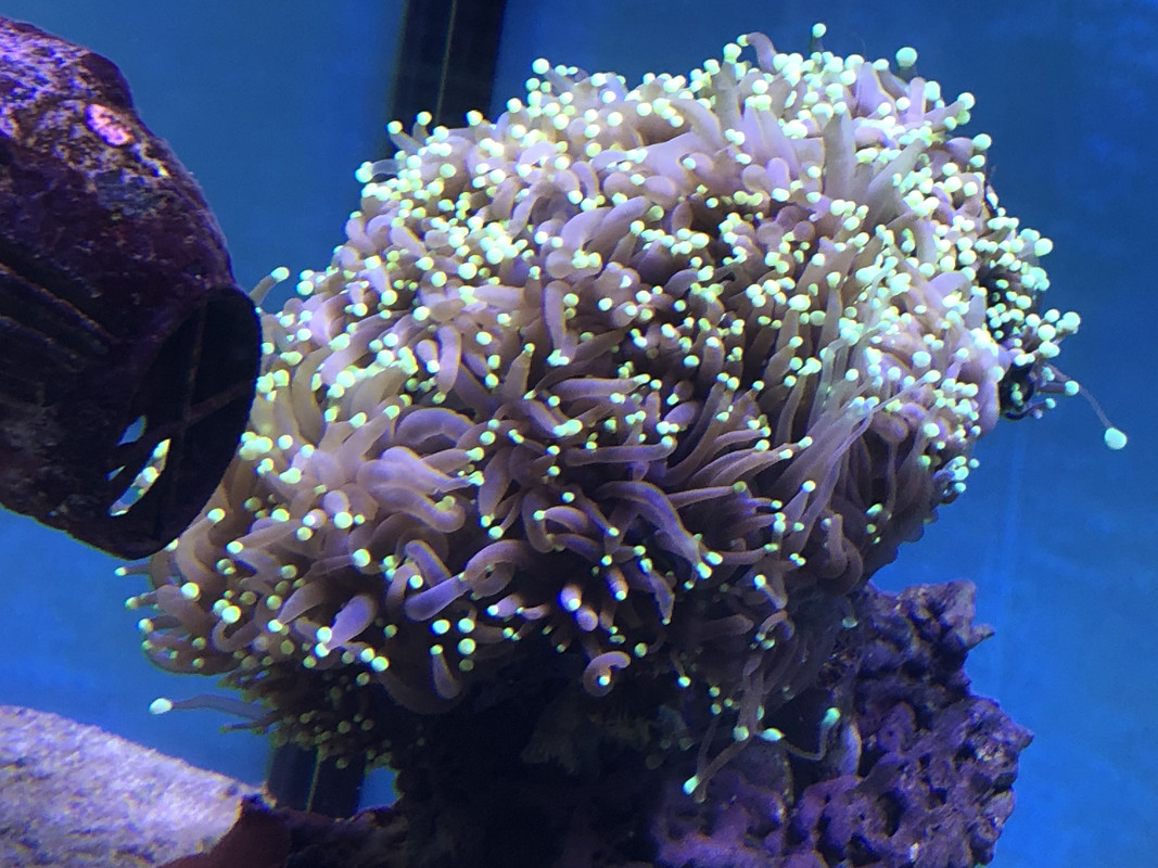 0023A93D-0C05-4D68-96E7-5C92CD852313