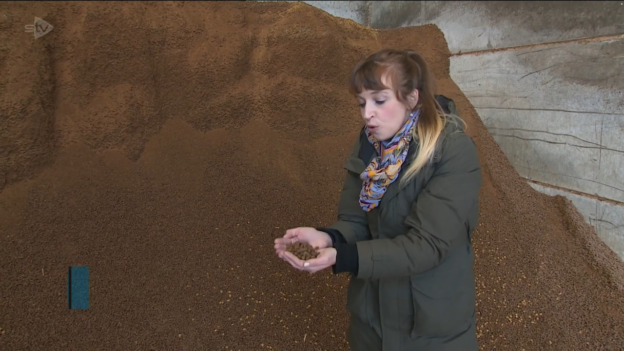 05.03 - 18.00.00 - STV News at Six. All the latest Scottish news and ....ts_snapshot_15.21.012