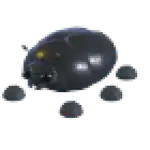 Giant Black Scarab