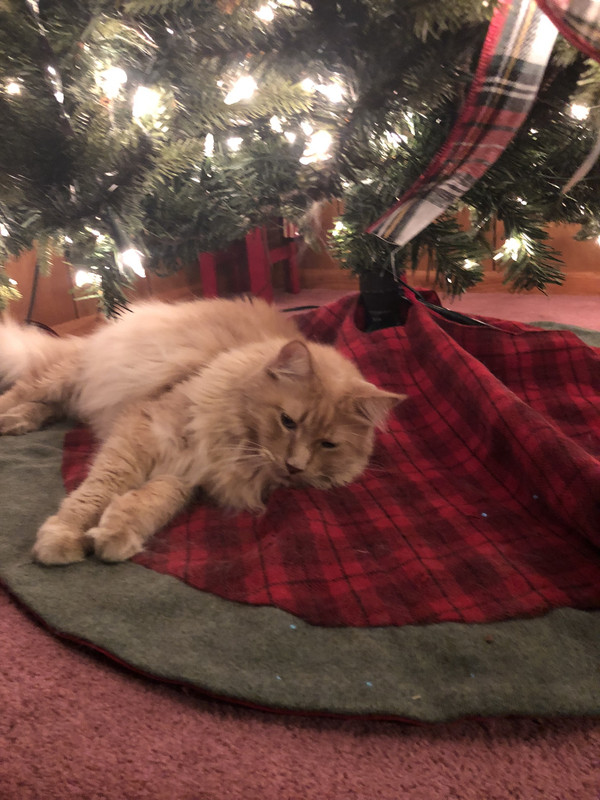 6D72DAE3-5AC4-4ADC-96A3-F354491DE0AE