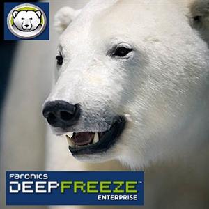 Faronics Deep Freeze Enterprise 8.60.220.5582 Multilingual