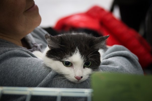 837912A5-FD9D-4E71-813A-9E70CA6F103C