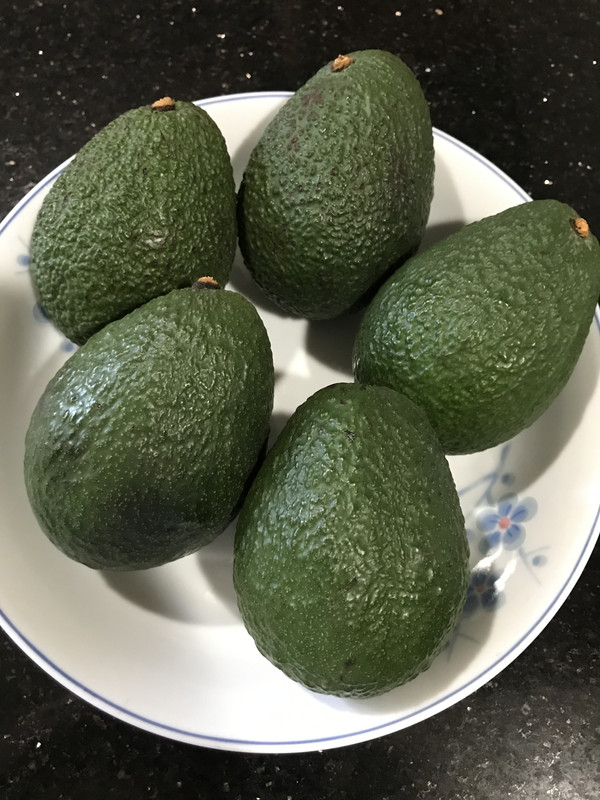 1A19357F-E501-4236-B309-18A7D98EC8E1