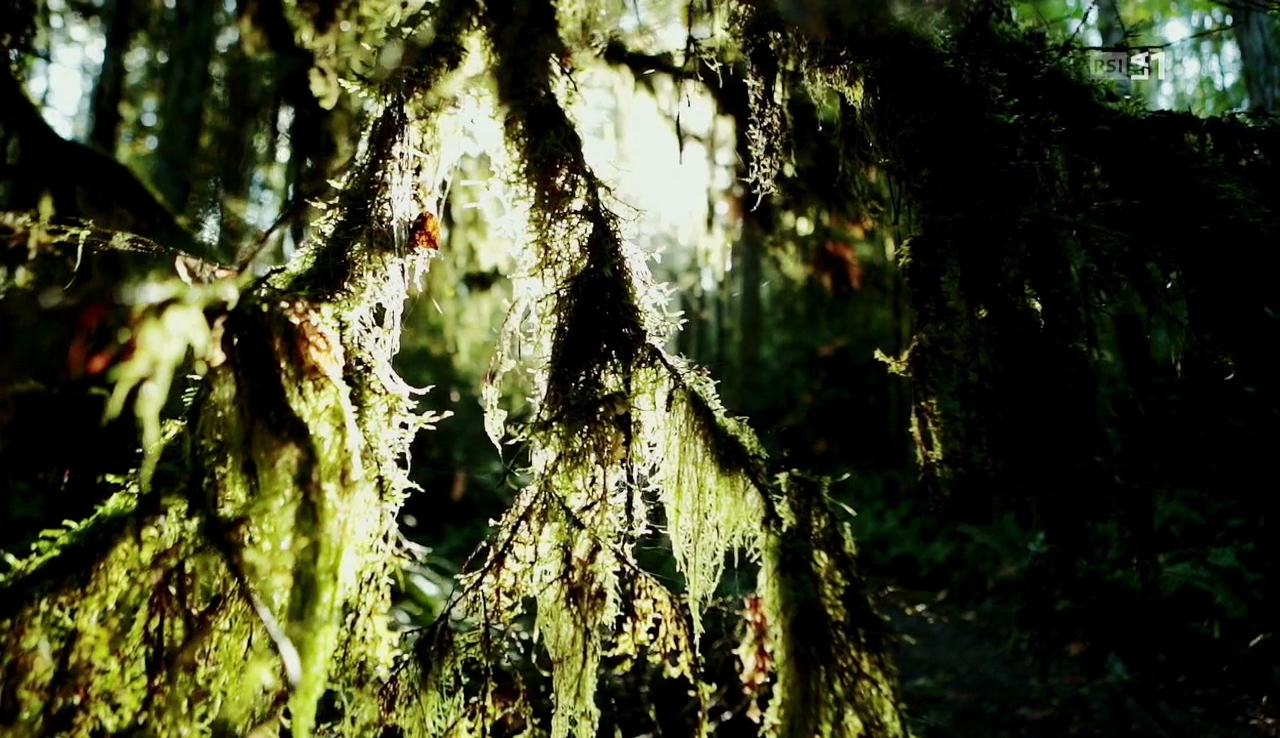 vlcsnap-2016-11-01-09h31m04s067