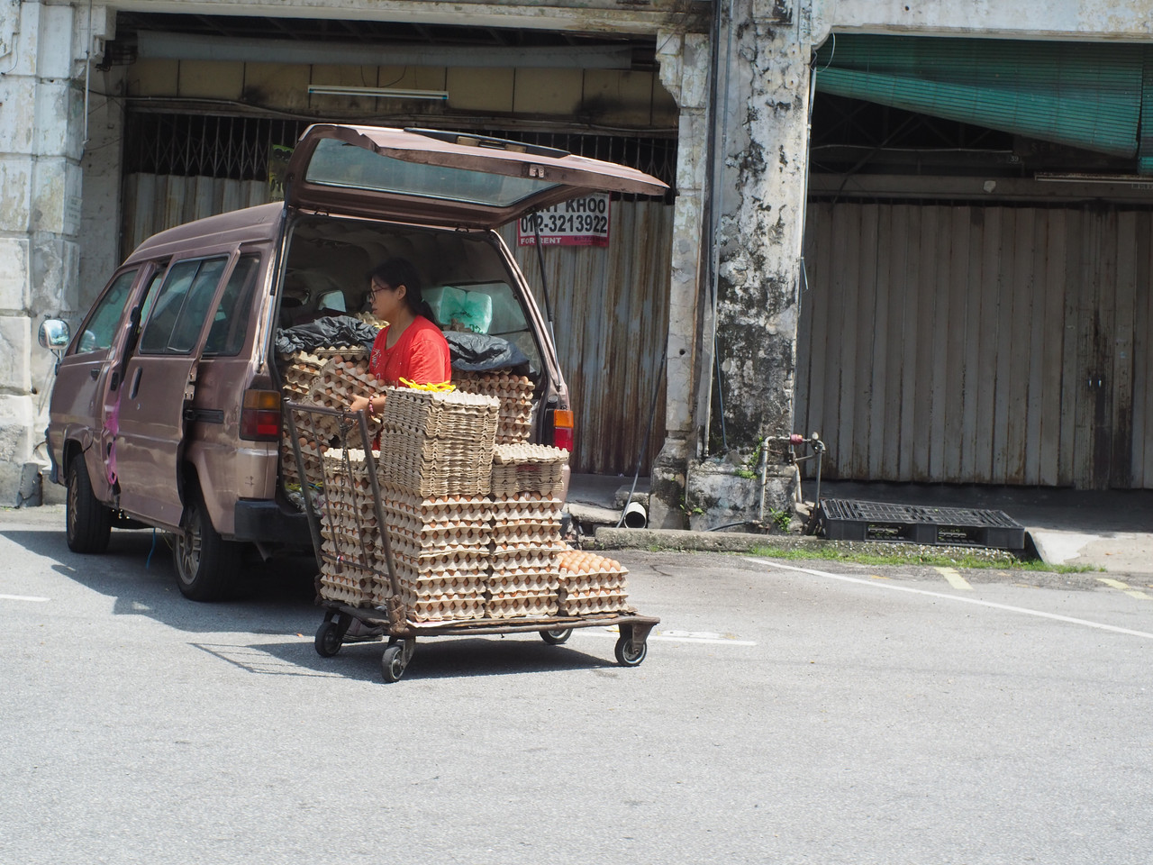 Egg-Delivery-Lady