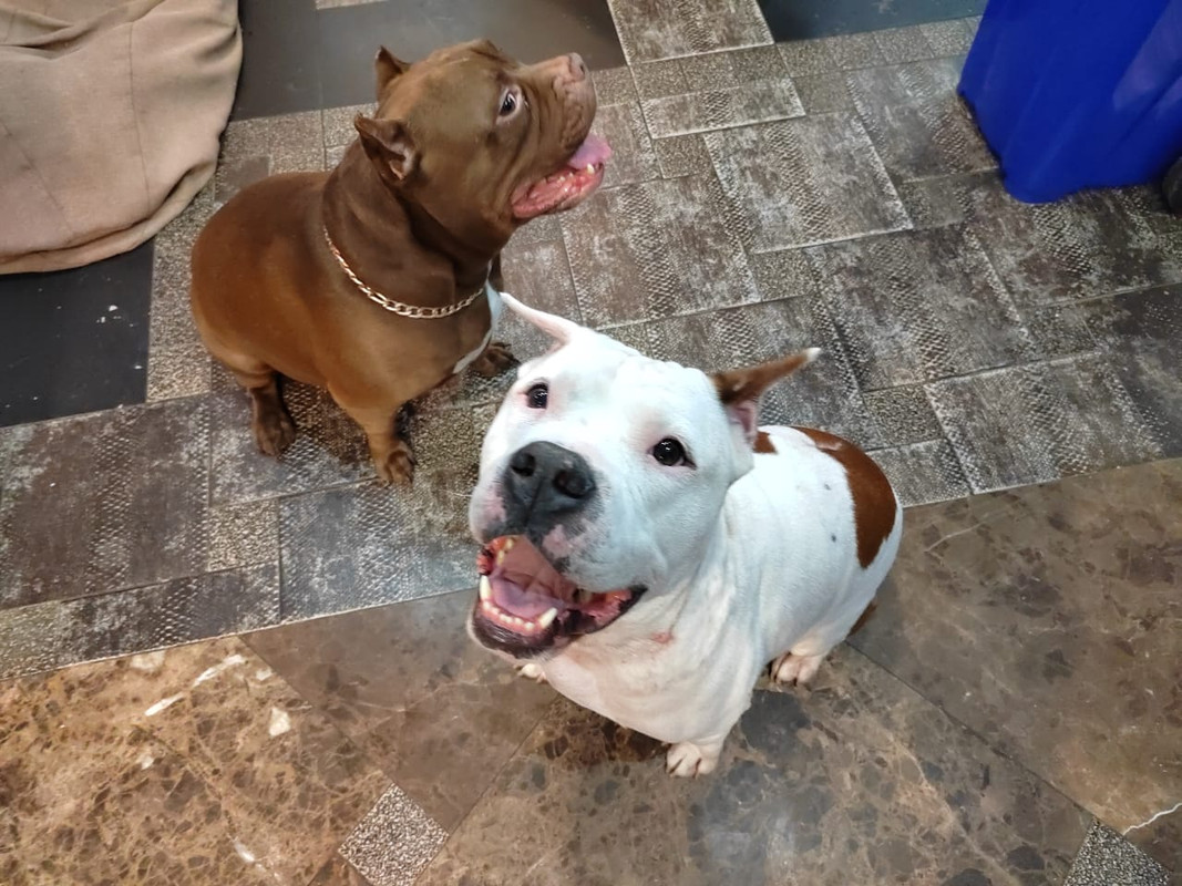 A2EDBA6F-44E3-48E7-98AF-DFB28A1B7766